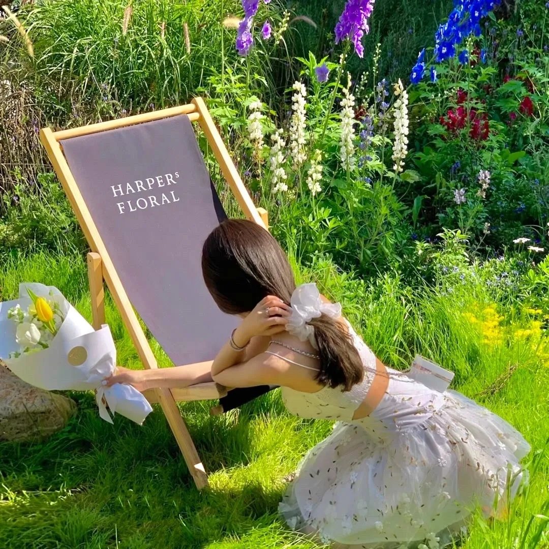 谁偷了我的侉子